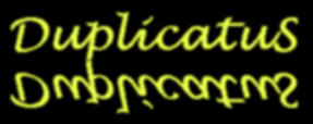 Duplicatus